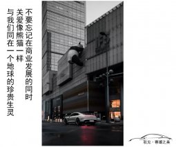 驭见Taycan | 心至影境 发现蓉潮之美