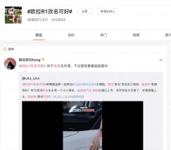 除了欧拉白猫 柠檬 坦克 咖啡  长城欧拉R1有望更名C位出道
