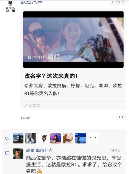 实力宠粉 顺应民意 欧拉R1更名欧拉黑猫引发汽车媒体大咖正反PK