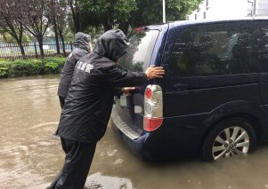 成都，对不起 我本意不是来闹海的