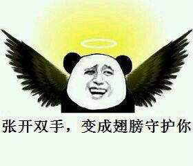 成都，对不起 我本意不是来闹海的