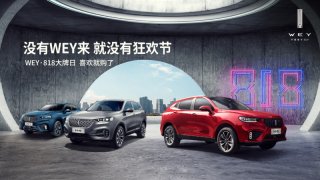 无WEY不狂欢 WEY将携手顶流平台引燃818