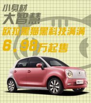小身材大智慧 欧拉黑猫黑科技满满6.98万起售