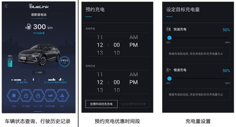 莫在虚拟的世界寻找知己 或许菲斯塔纯电动会更懂你