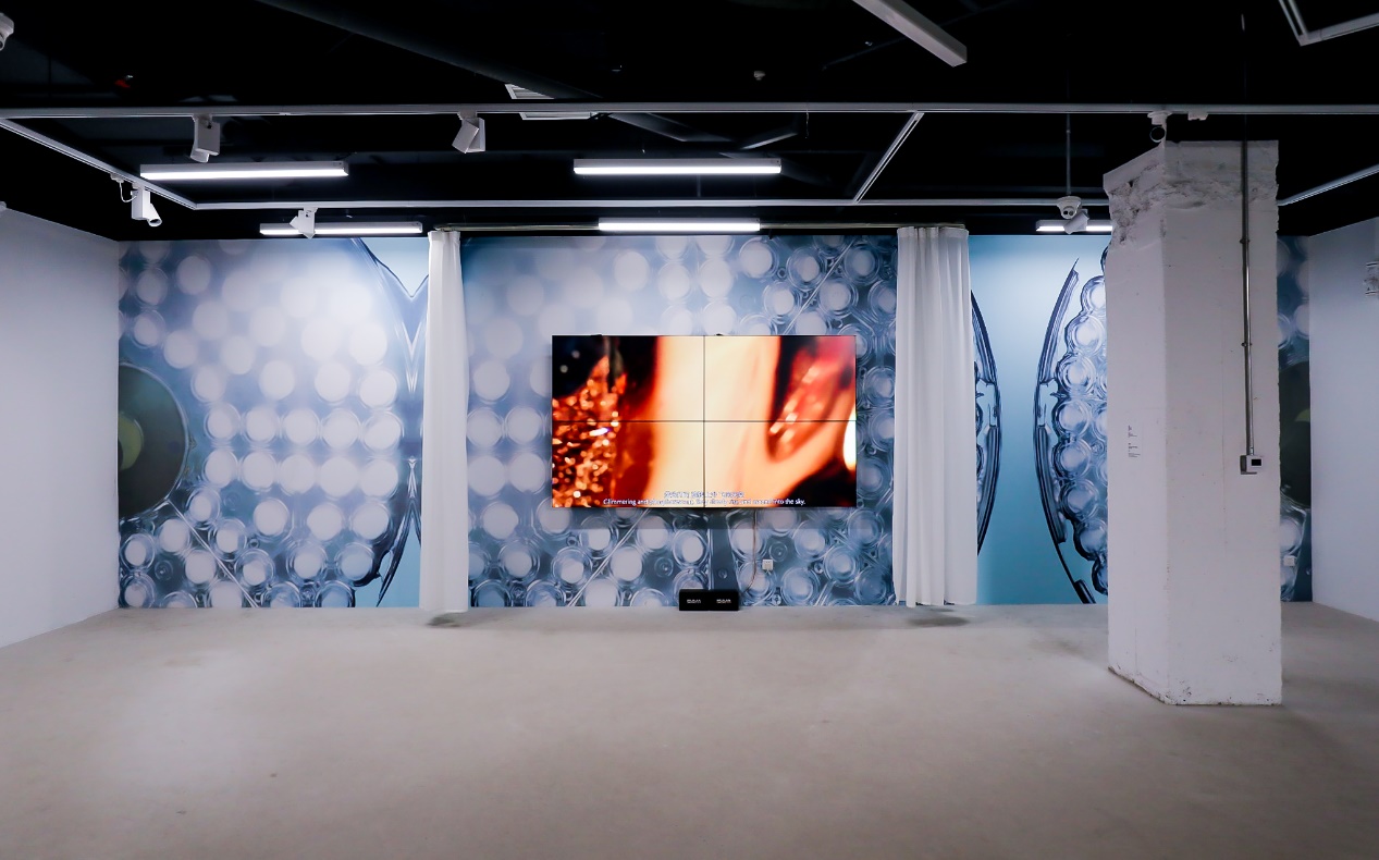 作品展暨保时捷公共艺术疗愈项目于沪启动