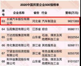 长城汽车又又又又获殊荣 这回是荣登2020中国民营企业500强