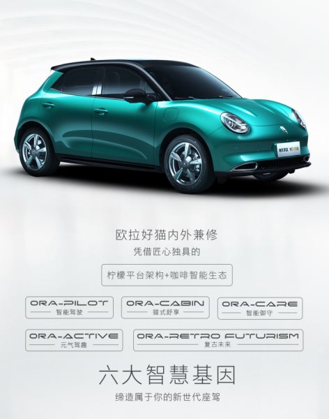 秋天的第一只猫——欧拉好猫“领养攻略”,预售10.5万元起