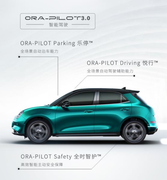 秋天的第一只猫——欧拉好猫“领养攻略”,预售10.5万元起