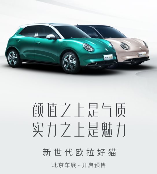 秋天的第一只猫——欧拉好猫“领养攻略”,预售10.5万元起