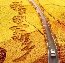 双节小长假看什么？WEY你推荐喜剧盛宴《我和我的家乡》