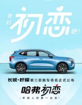哈弗初恋静态体验：“柠檬糖”已就位！
