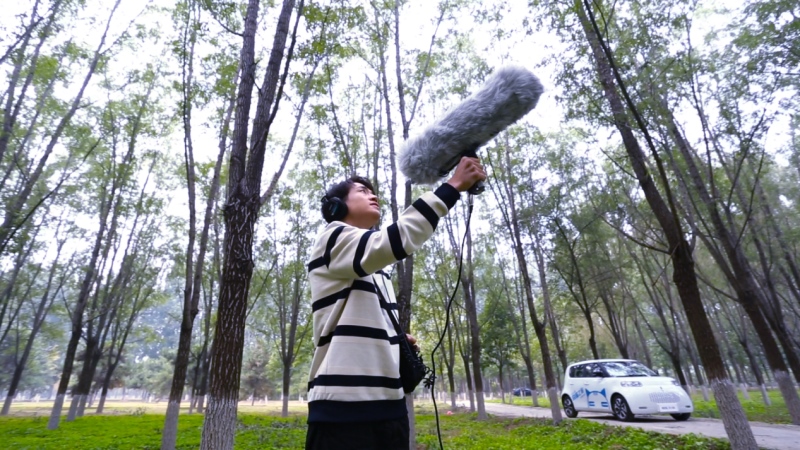 欧拉白猫带你找到属于自己的那片绿洲