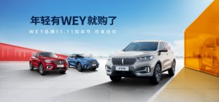 省省吧，你享多了！WEY VV5“双十一”钜惠来袭！