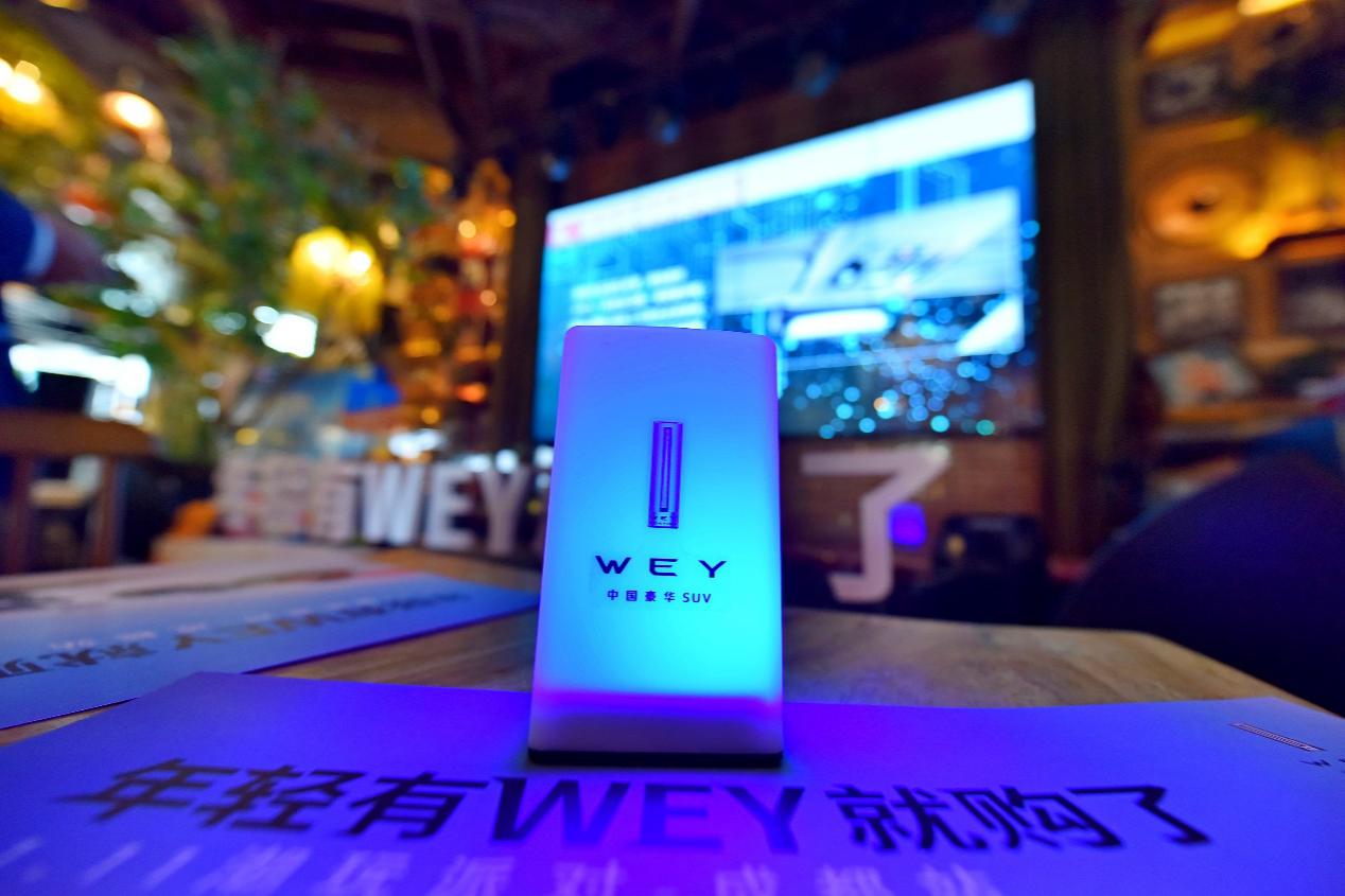 高能预警!揭秘WEY品牌11.11必买清单!