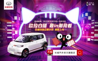 一车千面 潮力共创 欧拉白猫拉花众筹玩嗨了