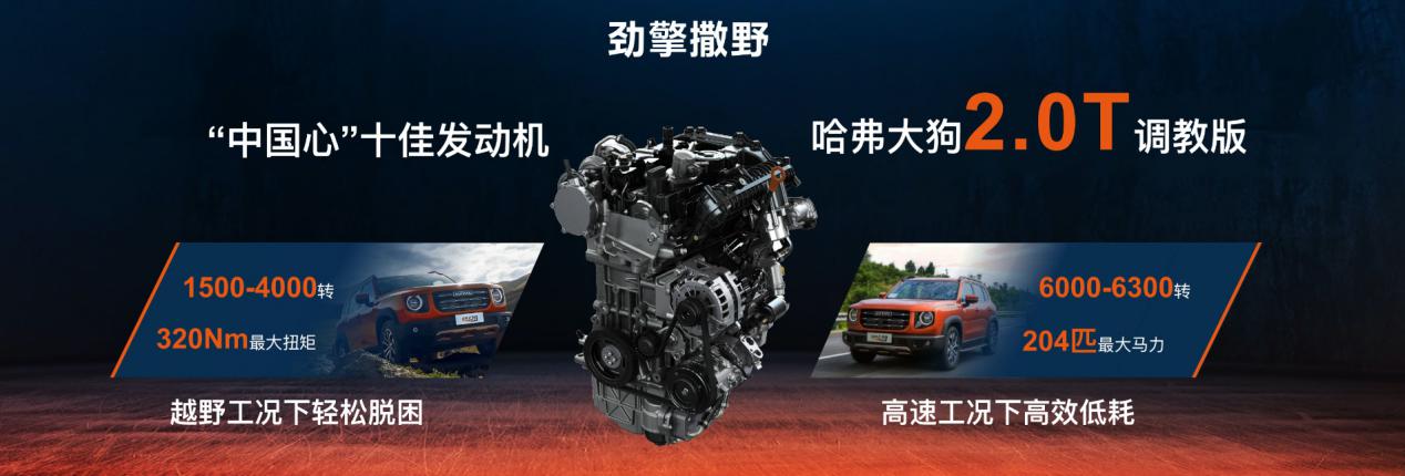 16.19万,带2把锁的城市SUV!哈弗大狗2.0T“中华田园犬”预售开启