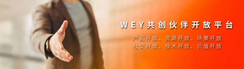 倾“橙”之作 活力无限!VV5元气橙版14.68万元上市!