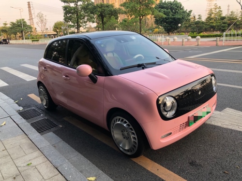 初遇的温暖 相知后的陪伴 猫系女孩的欧拉黑猫改装之路