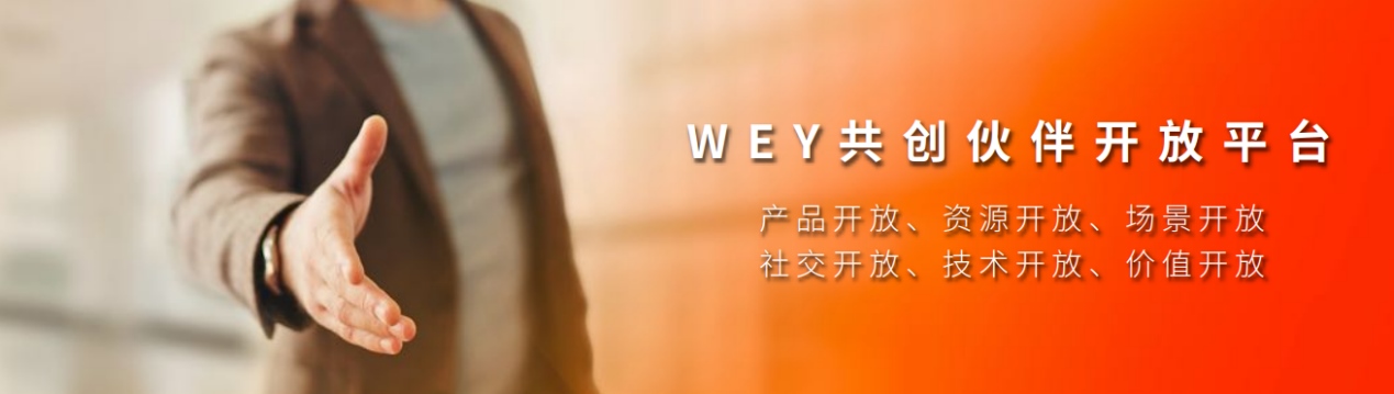 深耕用户中心理念 WEY品牌以用户共创赋能未来产品