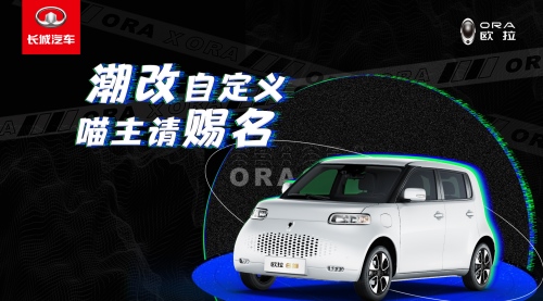 先锋领潮,百变由你 欧拉白猫潮改征名进行时!