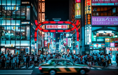 欧拉黑猫 一只超会撩的暖心喵