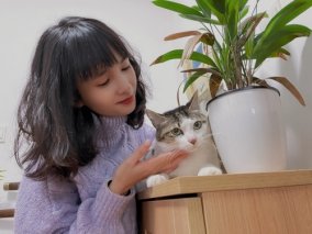90后设计师成“喵女郎”坚持4年照顾20多只流浪猫