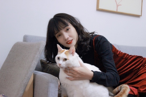 90后设计师成“喵女郎”坚持4年照顾20多只流浪猫