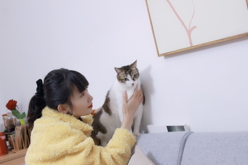 90后设计师成“喵女郎”坚持4年照顾20多只流浪猫