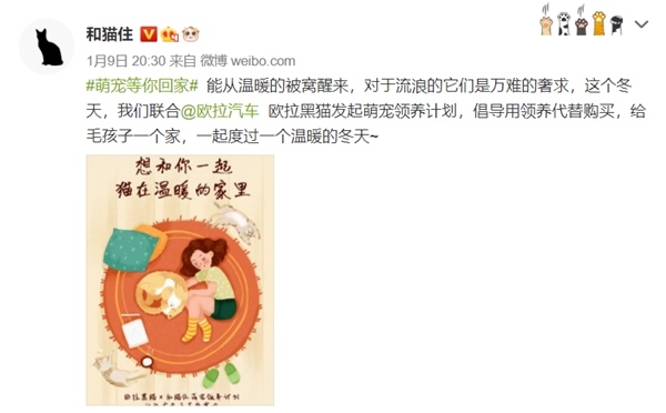 与自己的爱猫相遇 欧拉黑猫喊你一起收养“萌宠”了