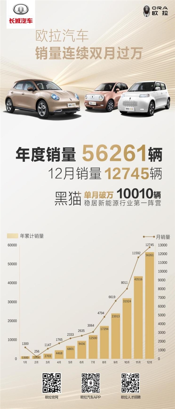 兴风造量涨势猛 论欧拉“新势力”背后的真实力