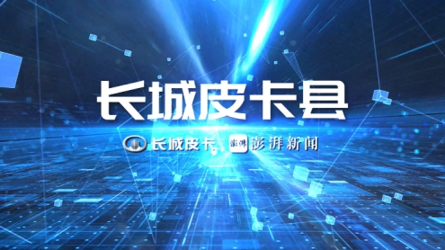 年销超11万辆 2020风骏续写传奇