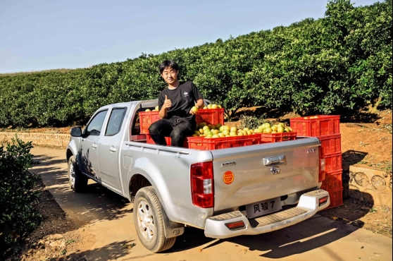年销超11万辆 2020风骏续写传奇
