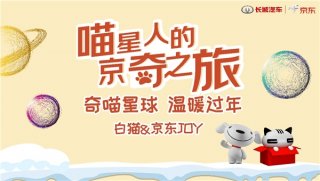 最冷冬天最暖公益 欧拉白猫携手京东用快递箱为流浪猫安家
