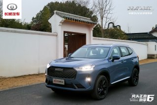 行业大咖轮番探店 第三代哈弗H6引发抢购热潮