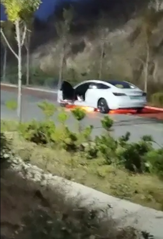 安全的汉与“割韭菜”的model3 你选谁？