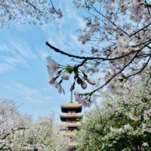 鉴征途 尽燃情 东风风神AX7 PRO为硬核匠心践行
