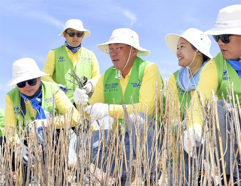 2021中国汽车论坛沪上再聚首 现代汽车集团解读碳中和战略