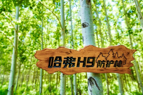 哈弗H9联手生态英雄 践行公益力量 彰显越野精神