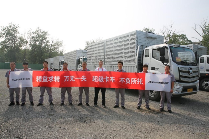 华诞盛典欧航欧马可圆满护驾10万羽和平鸽背后的故事