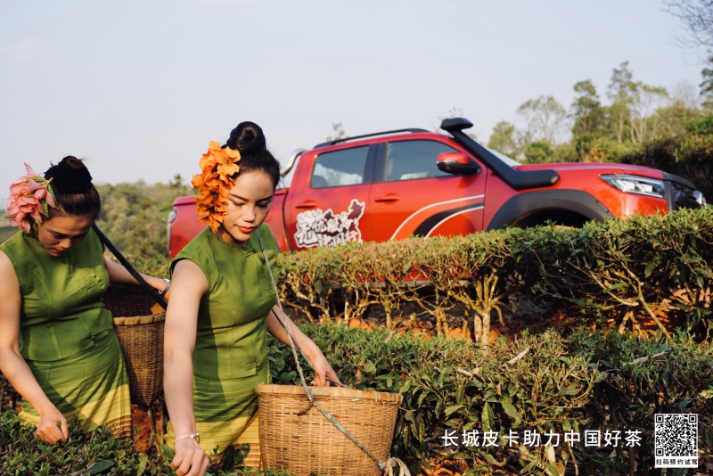 “无忧服务中国行”走进云南  专属服务让创富更安心