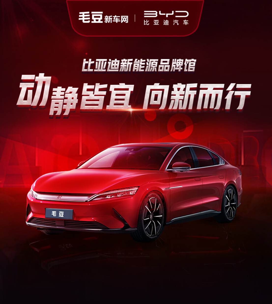 选油车还是新能源车?毛豆新车助力消费者轻松选购