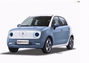 选呆萌还是选实用？云度π1、2022欧拉黑猫选购全解析