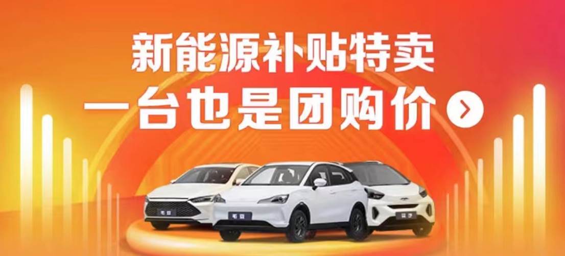 90后在毛豆买新能源车