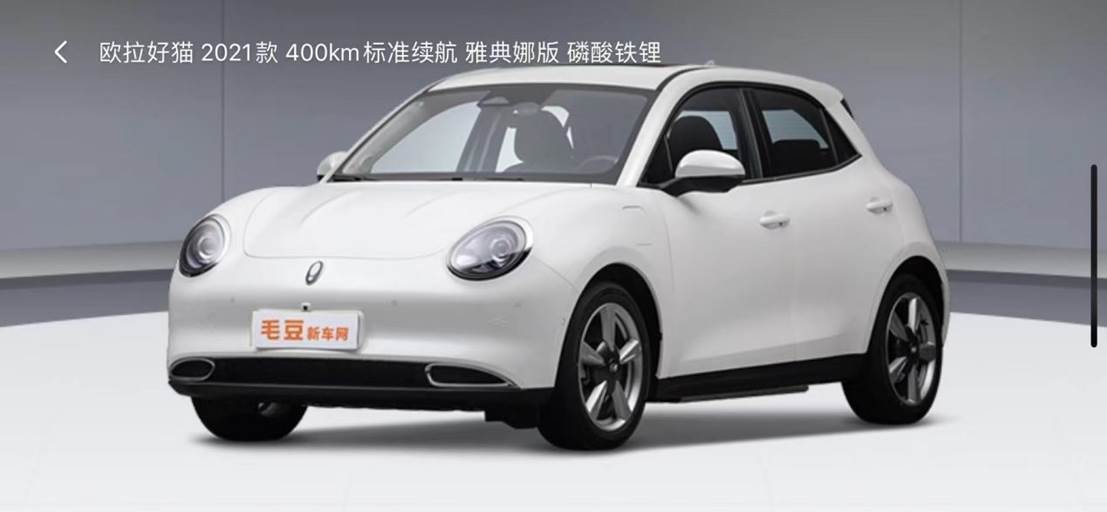 90后在毛豆买新能源车