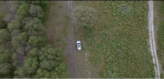 秋高气爽去野餐 魏牌拿铁和你一起出发