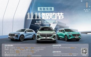 一大波福利请查收 魏牌双11智购节正式开启