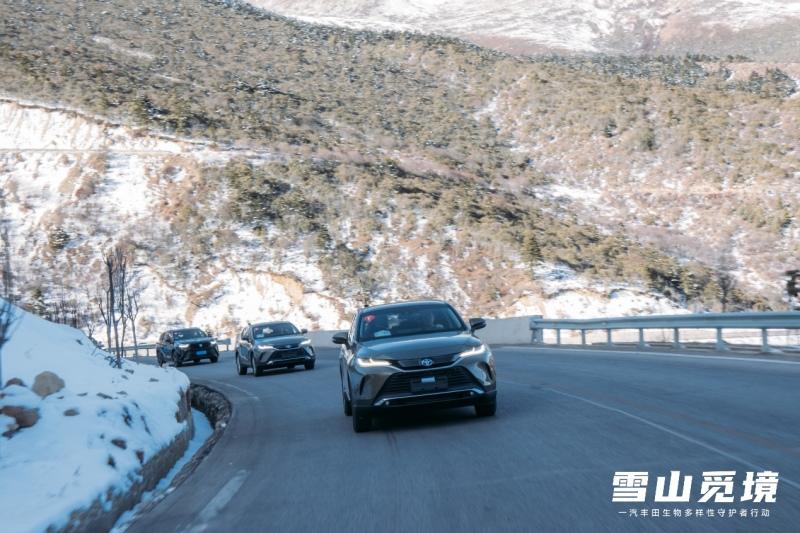 雪山觅境 2021年一汽丰田生物多样性守护者行动圆满完成