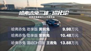 打造多元化车型矩阵 “哈弗赤兔三体”正式成团