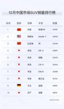 自主品牌荣登中国SUV销量榜第一和第三，超级混动技术开辟了新的市场蓝海