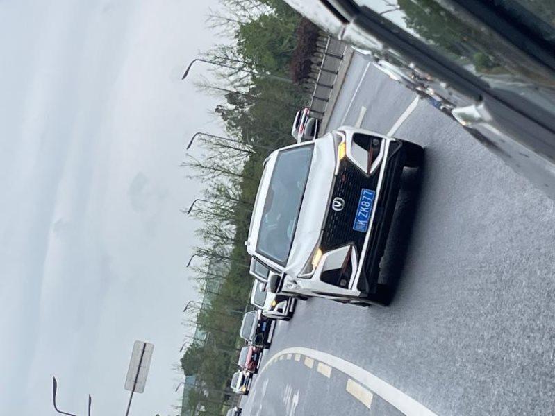 拥抱春意 悠享生活 我与“春天”的约会